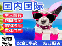 成都双流航空邮寄国际宠物托运 【国